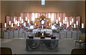 DSCN8167