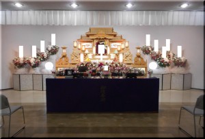 DSCN8566